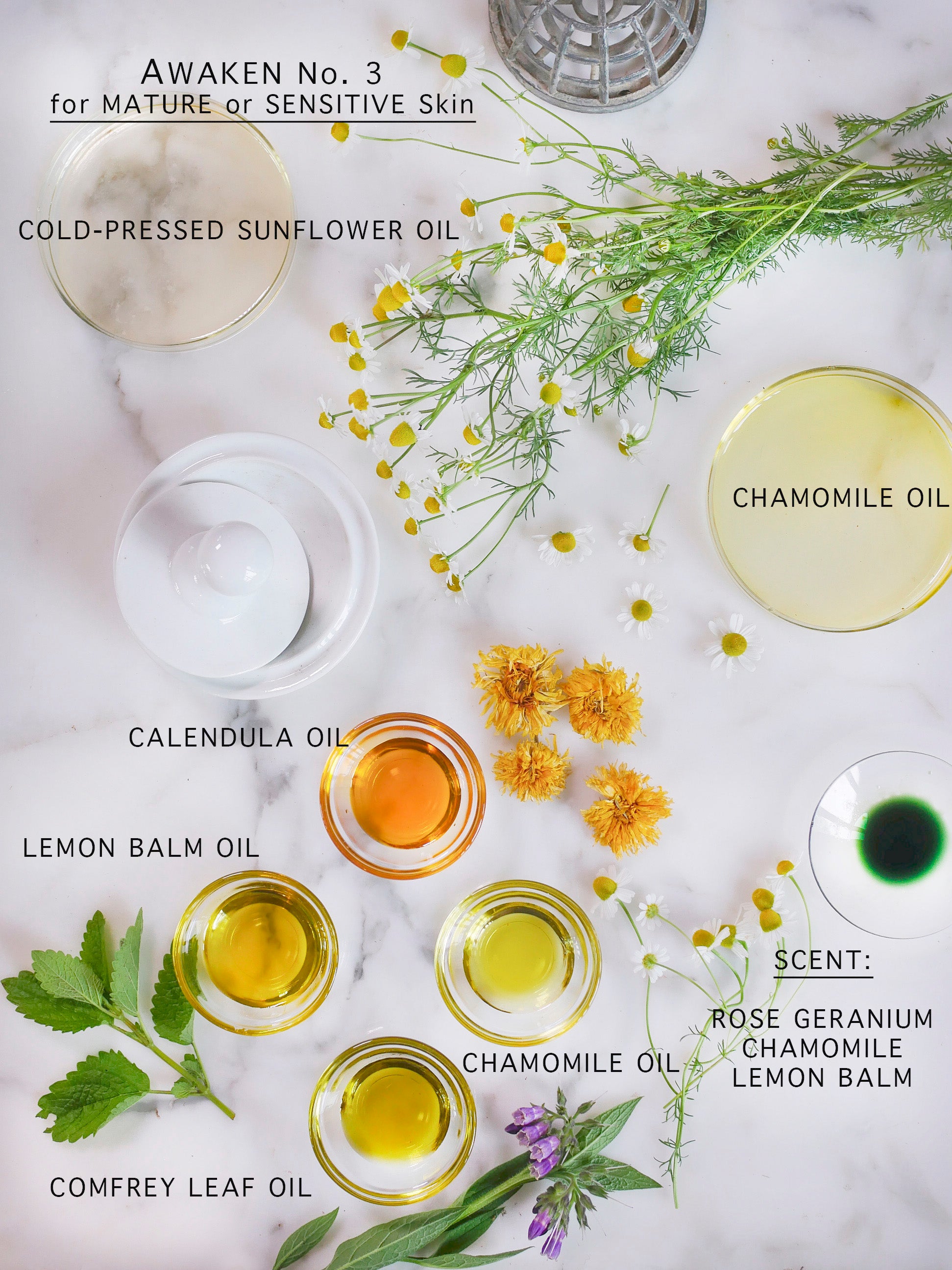 Botanical and organic ingredients that make up serums for sensitive skin.