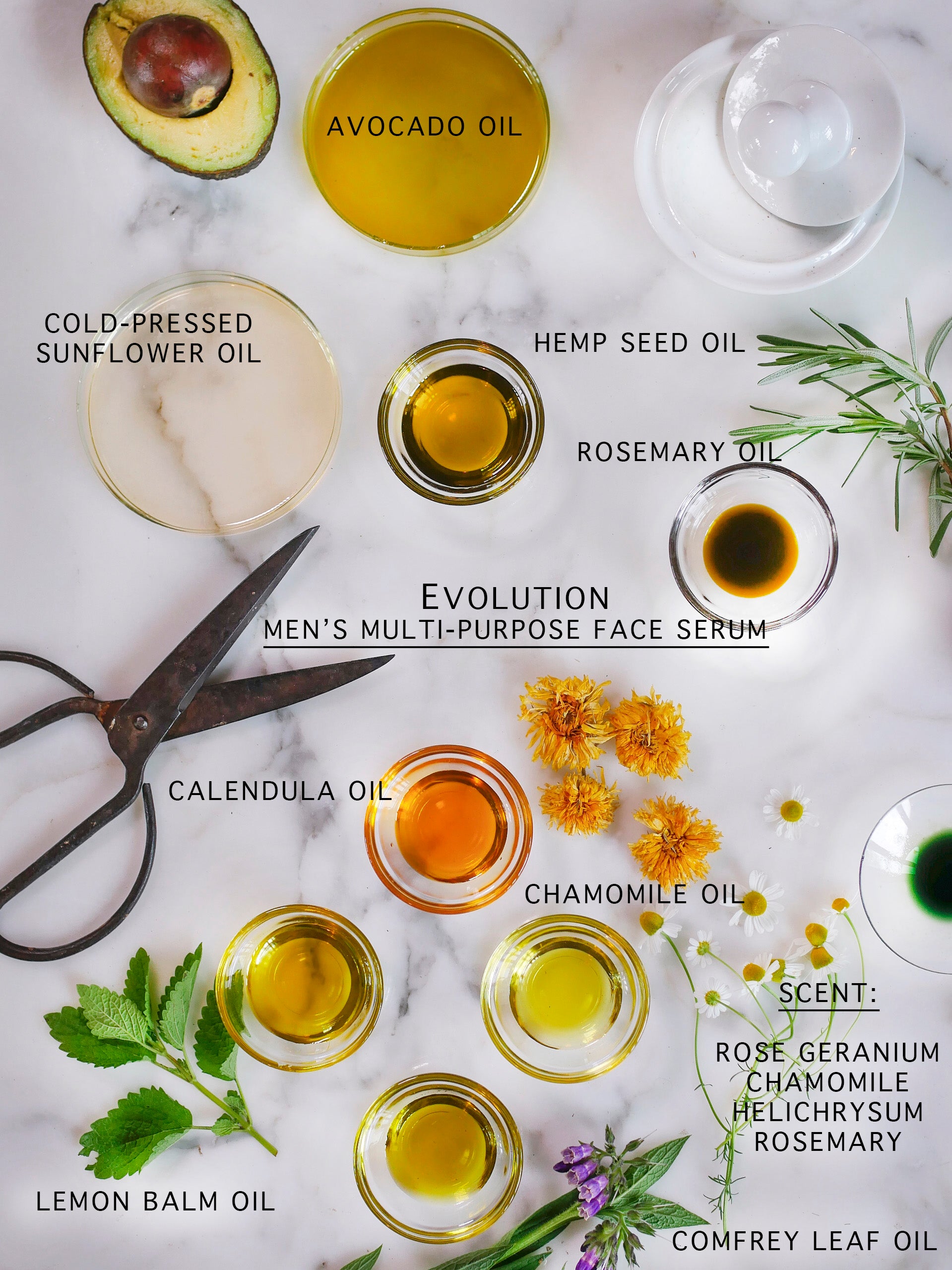 Botanical and organic men's face serum ingredients.