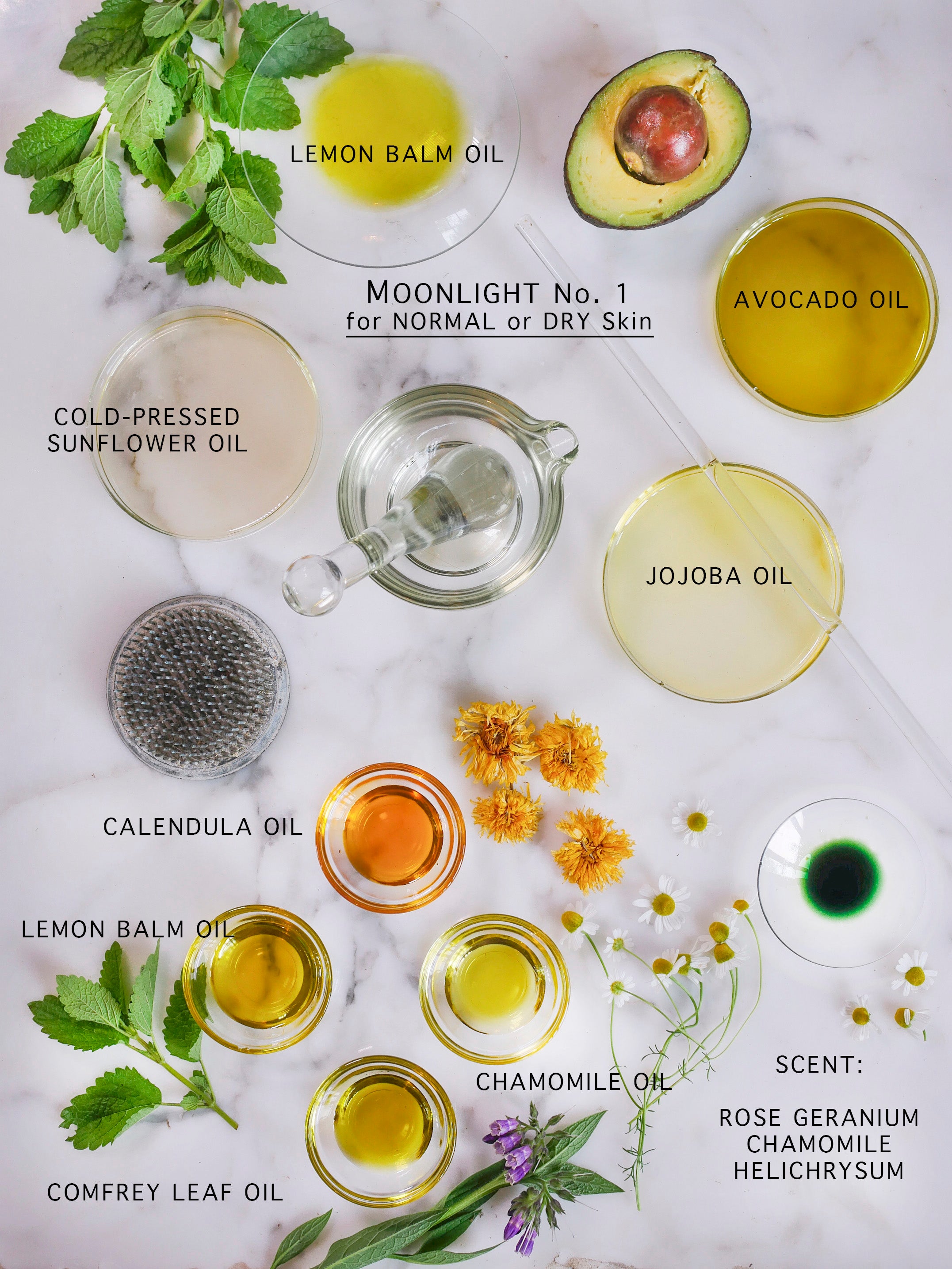 Botanical and natural ingredients that make up the night serum for dry skin.
