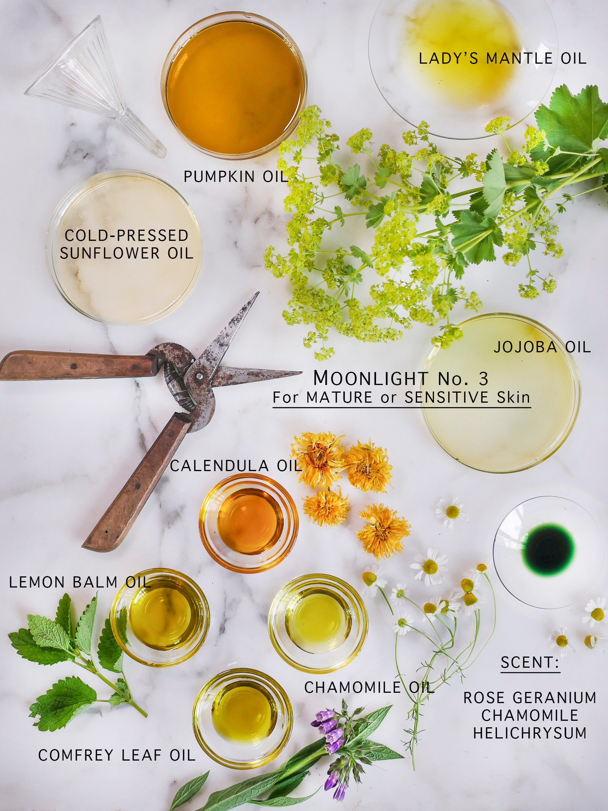 Botanical and natural ingredients of the nighttime serum for sensitive skin.