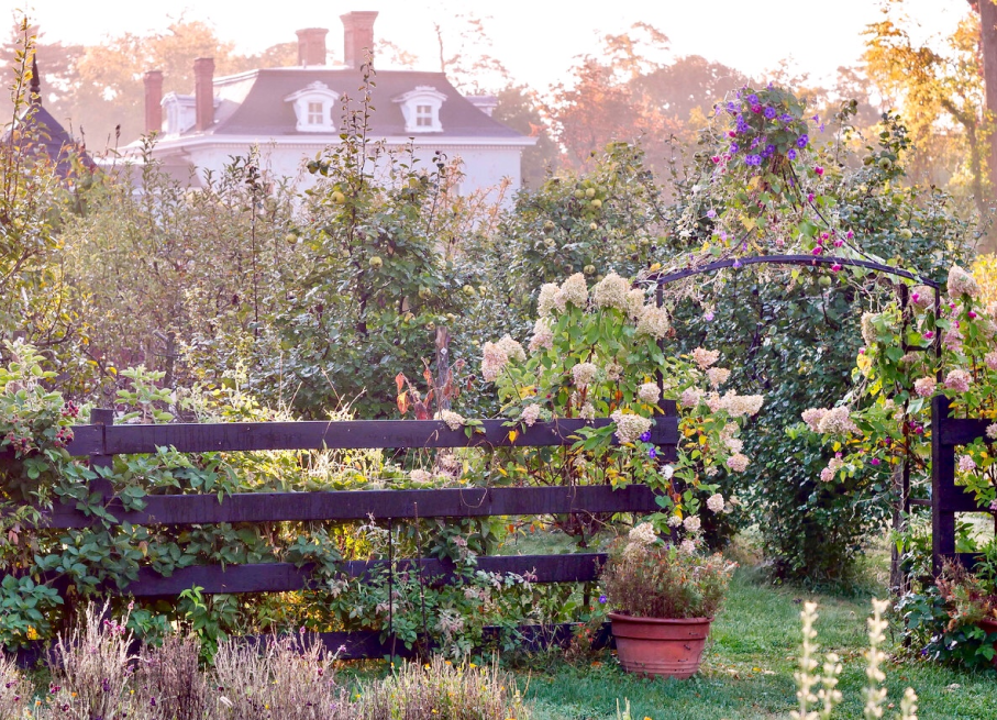 Cultivate Apothecary at Stonegate Farm