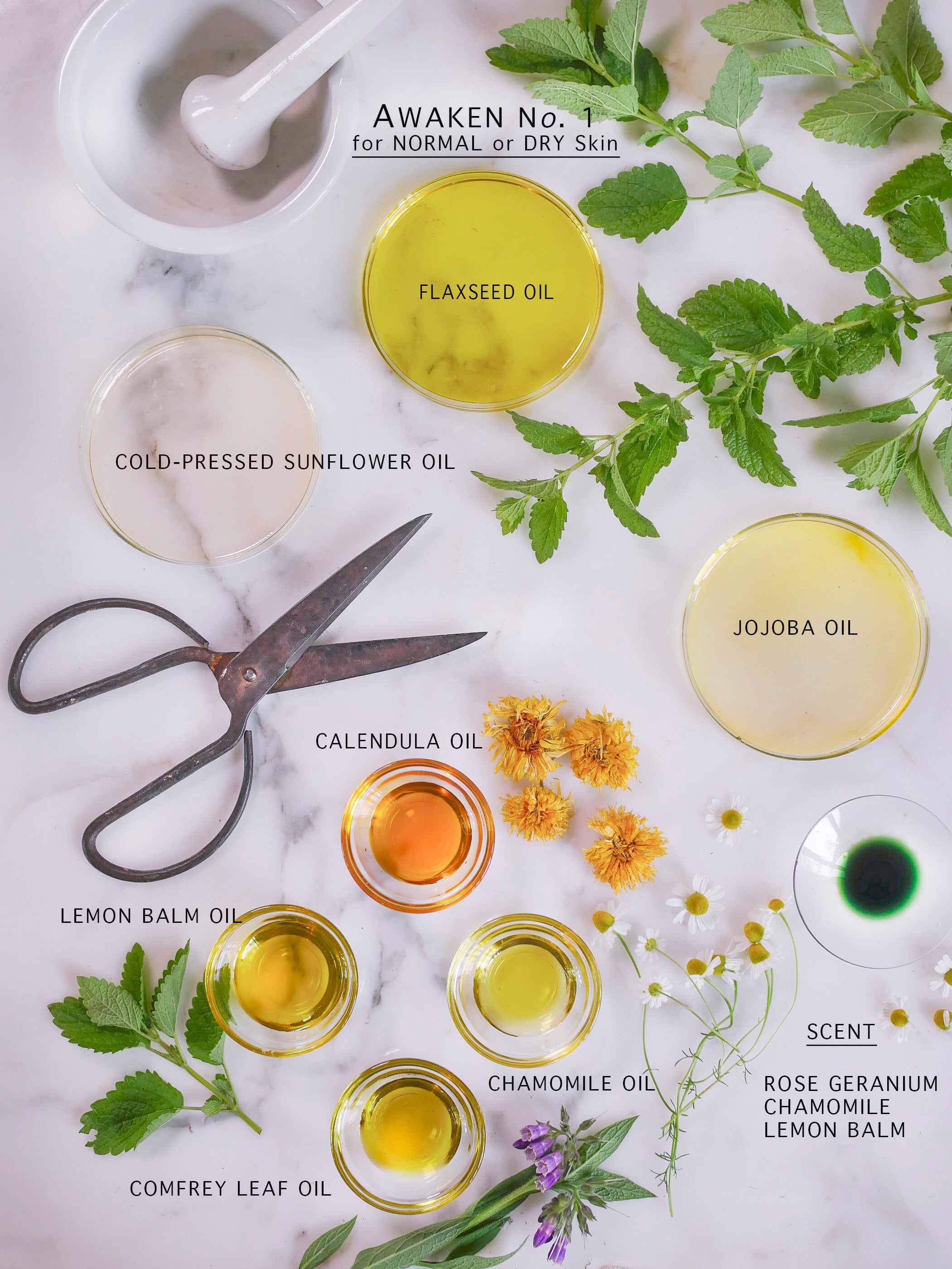 Botanical ingredients of day serum included in the dry skin kit.