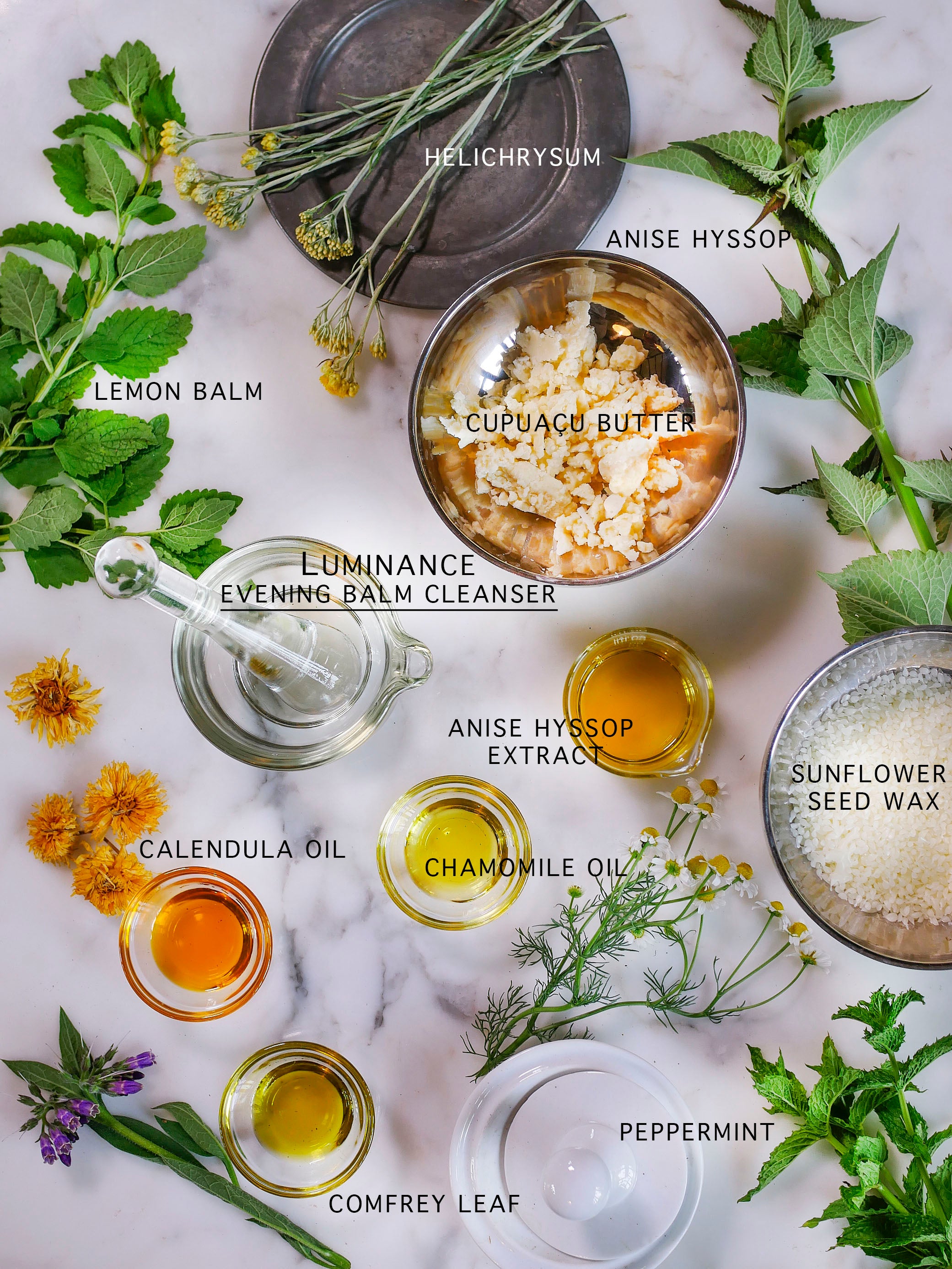botanicals and oils used in skincare on a marble surface