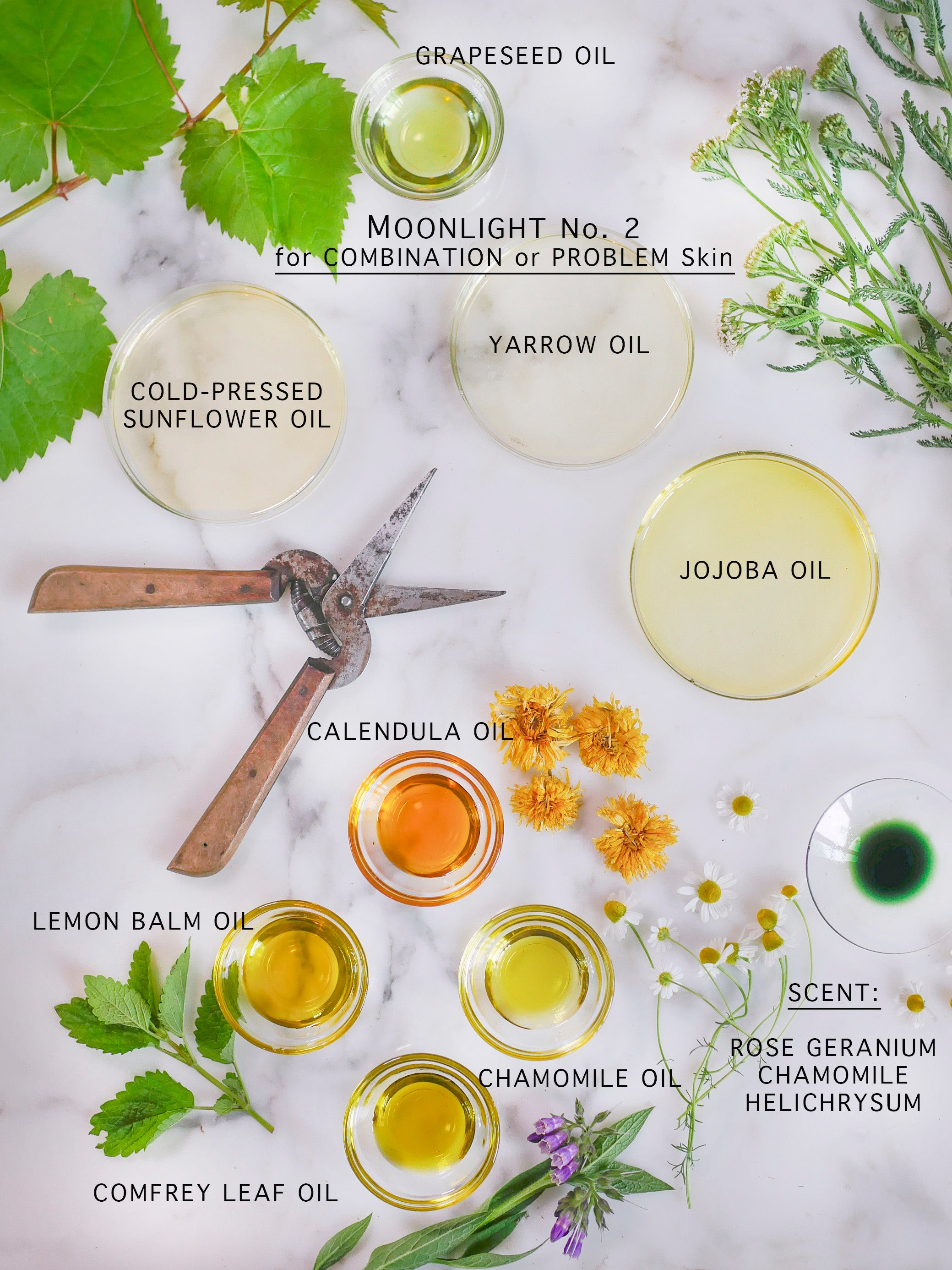 Botanical ingredients that make up the serums for combination skin.
