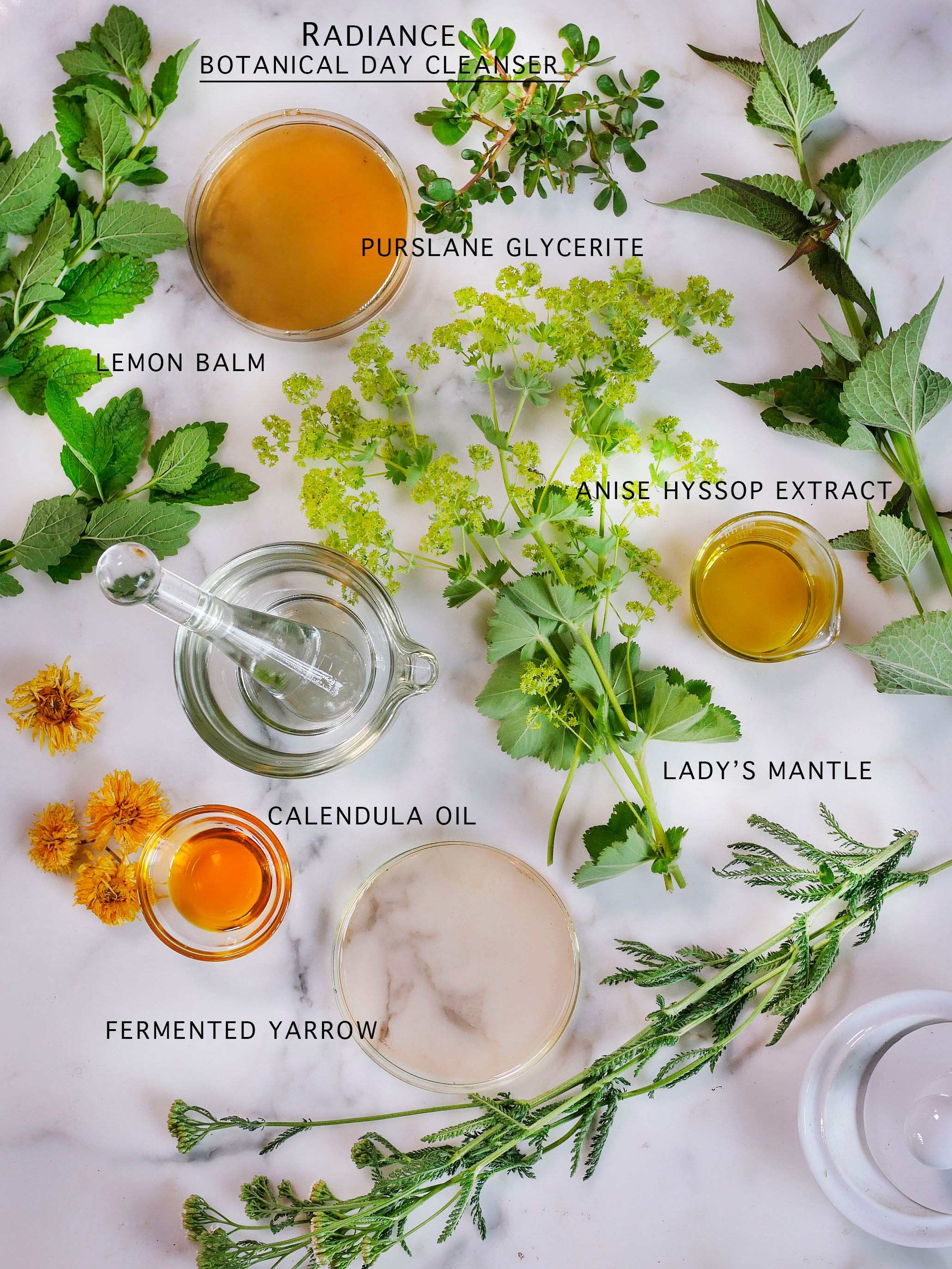 Botanical and non-toxic facial cleanser ingredients.